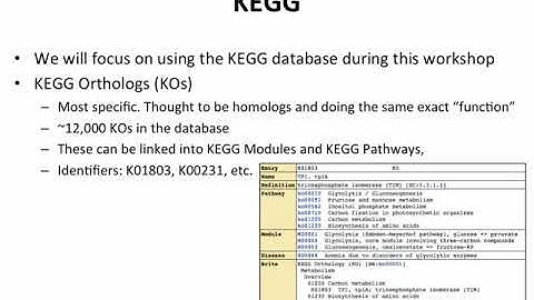 Metagenomic Functional Composition