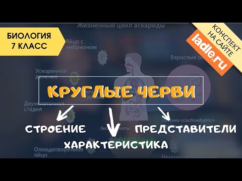 Тип Круглые черви. Паразиты. Биология 7 класс. Нематоды, строение Человеческая аскарида, острица ЕГЭ