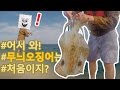 대물 무늬오징어 낚시를 해보자!!! (ft. 에깅) BIG FIN SQUID EGI FISHING!! アオリイカ エギング