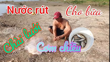 Khảivlog/mùa nước rút cùng anh chót đi chài lưới kiếm cá để cho 1 buổi cơm gia đình.