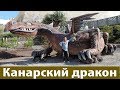 дракон  из  бетона  на  канарах