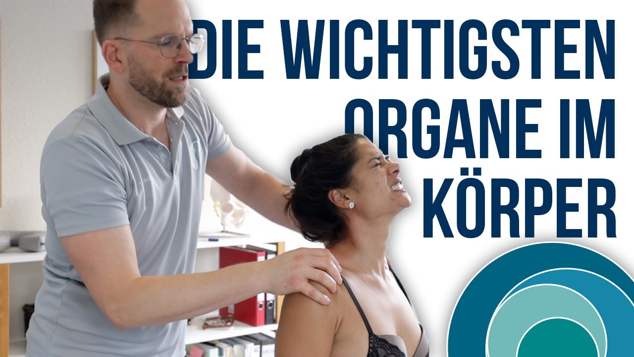 Chiropraktik | Die wichtigsten Organe im Körper | mit Melanie | deutsch | Teil 2 | #167