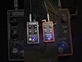 Quailbox - envelope wah with frequency and shape control #diypedals #wah #envelope