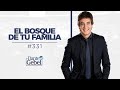 Dante Gebel #331 | El bosque de tu familia