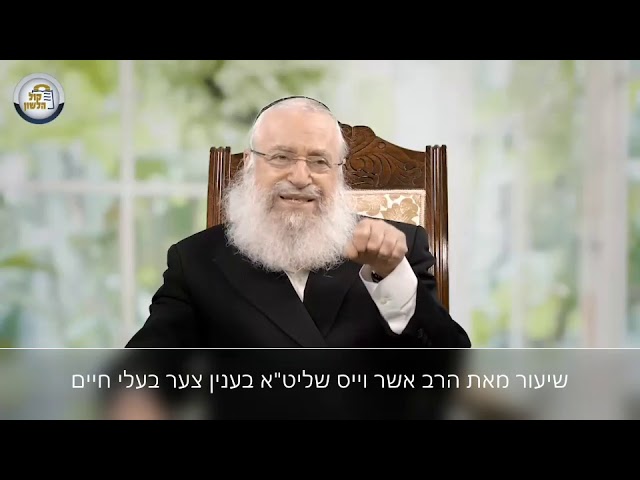 צער בעלי חיים | שיעור שבועי מאת מרן הרב אשר וייס שליט"א | פרשת בלק תש"פ