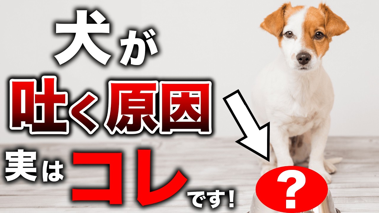犬が吐く原因実はコレです！