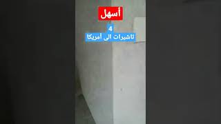 أسهل 4 فيزا الى أمريكا خلال 48 ساعة فقط