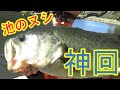 池のヌシも迷わず食っちゃうルアー【神回】
