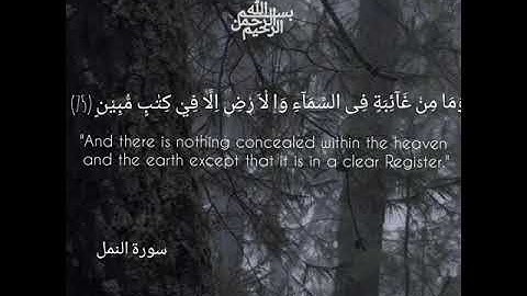 وَاِنَّ رَبَّكَ لَيَـعْلَمُ مَا تُكِنُّ صُدُوْرُهُمْ وَمَا يُعْلِنُوْنَ|سورة النمل|للقارئ إسلام صبحي