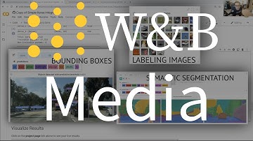 🎨 Log (Almost) Anything with Weights & Biases