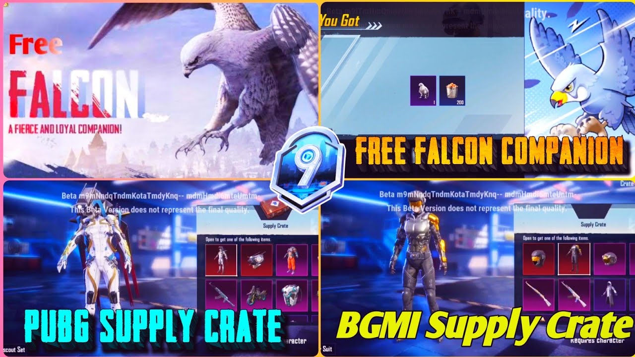 Free Falcon Companion In BGMI/Pubg 1.9 Update | Next Supply Crate Leaks BGMI/Pubg & Release Date