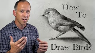 How to Draw Birds- a Yellow Bellied Bush Warbler