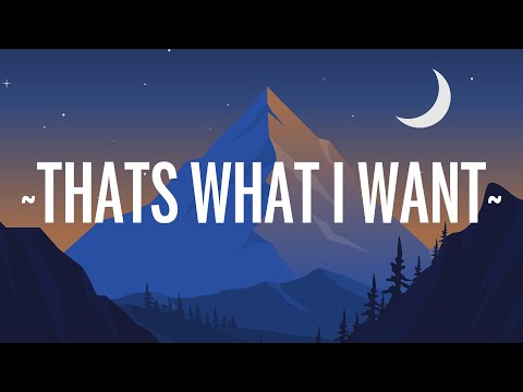 Lil Nas X - THATS WHAT I WANT (Lyrics)