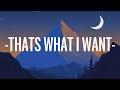 Lil Nas X - THATS WHAT I WANT (Lyrics)