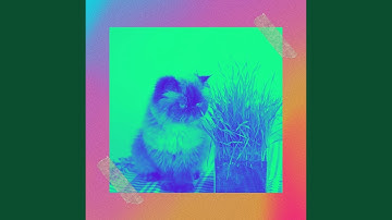 Background for Lazy Cat Days