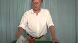 Monkey Silk Set for Magic Tricks by Practical Magic