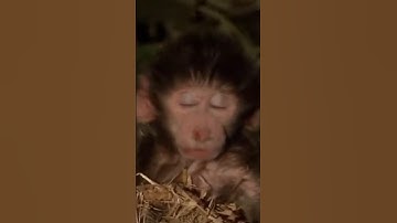 sometimes it be like that… #apexlegends #memes #shorts