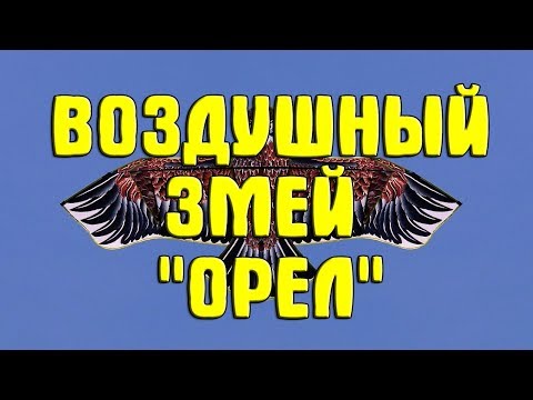 Как собрать воздушного змея орла