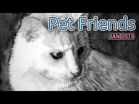 PET FRIENDS IN MONOCHROME - March 2018 Group Art Challenge Submissions - PET FRIENDS IN MONOCHROME - March 2018 Group Art Challenge Submissions