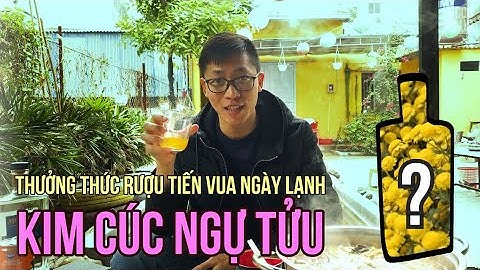 Thưởng thức rượu tiến vua ngày lạnh - Kim Cúc Ngự Tửu