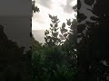View from Canna Heritage Park #dominica #capuchin #767 #national park