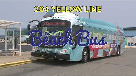 DART 204 Yellow Line
