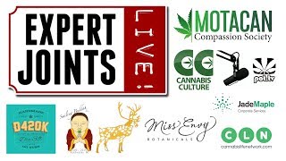 Expert Joints LIVE!  - "Who Can? Motacan"