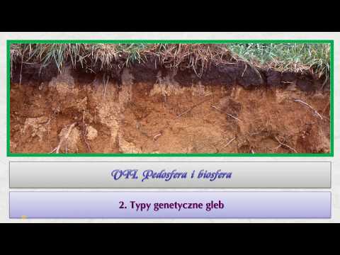 r1 7 02a   Typy genetyczne gleb