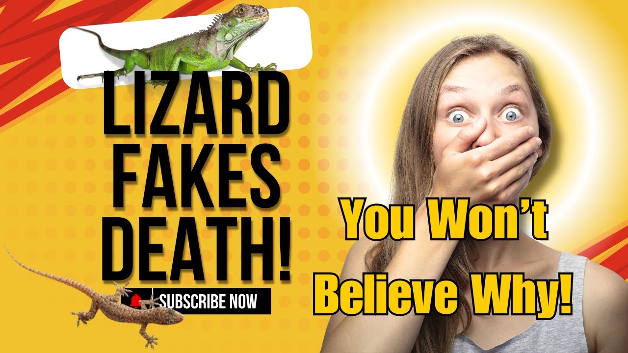 Why This Tiny Lizard FAKES Its Death! 🦎 | Amazing Animal Defense Mechanism Explained!