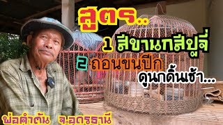 เเวะหาความรู้บ้านเซียนนกเขาใหญ่…ขาสีปูจี่&ดูนกดิ้นเช้าด้วยขนปีก