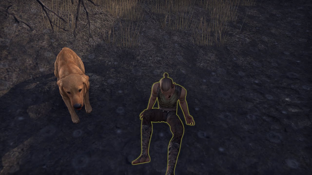 ZOS Don't Remove Ninglenel [ESO Training Dummy] YouTube