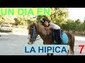 Un dia en la hipica 7