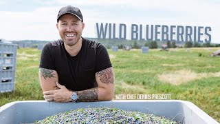 Harvesting Wild Blueberries in New Brunswick | Ep 7 with Chef Dennis Prescott 🚜