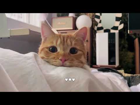 Soooo cute