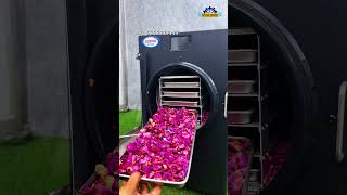 Freeze Dehydrator Machine for Rose Drying | Preserve Rose Colour, Aroma & Natural Quality
