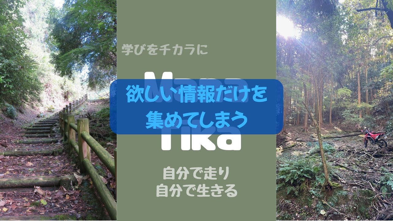 欲しい情報だけを集めてしまう