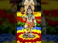 Joy bolenath ki joy paya #love #song #radheshyam #trending #cat #bhakti