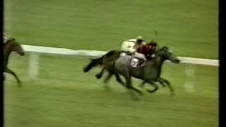 1981 William Hill Futurity Stakes
