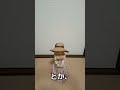 【TikTok配信#2】生きやすい世界へ-日比谷幸助（小説家）の配信