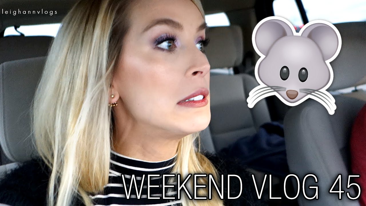 MOUSE IN MY HOUSE! | weekend vlog 45 leighannvlogs | LeighAnnVlogs