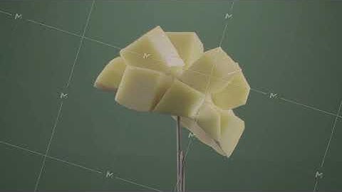 Mango rotating with loop on green screen for chroma key