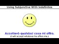 Indefinites and the Subjunctive Mood