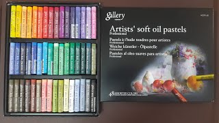 Mungyo Artist's Gallery Soft Oil Pastel 48 color set Review | NOT Sponsored screenshot 2