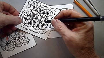 Candor Tangle Pattern Lesson #148