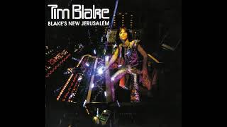 Video thumbnail of "Tim Blake - Song For A New Age"