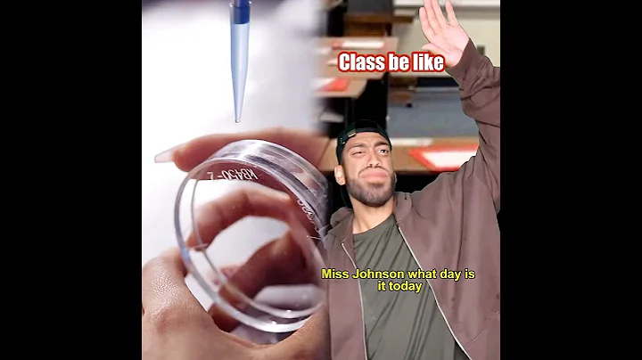 When your class can’t stop saying 6 7 😂 #comedy