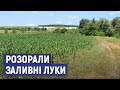 Розорали заливні луки. На Сумщині мешканці села переймаються долею річки