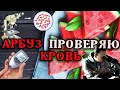 Арбуз 🍉 Проверяю кровь с помощью глюкометра и микроскопа.