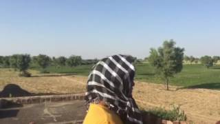 Samrau Village : Jodhpur Rajasthan India