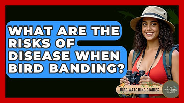 What Are The Risks Of Disease When Bird Banding? - Bird Watching Diaries
